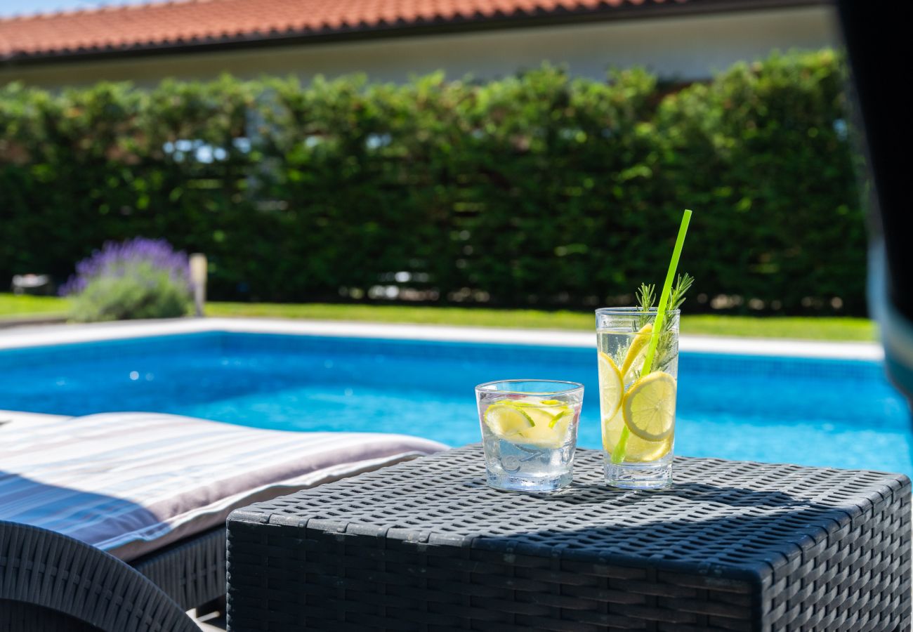 Ferienhaus in Labin - Holiday House Olive Grove with pool and garden