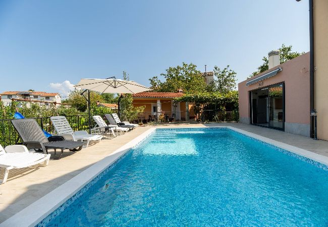House in Nedešcina - Two Stone House Iva with pool
