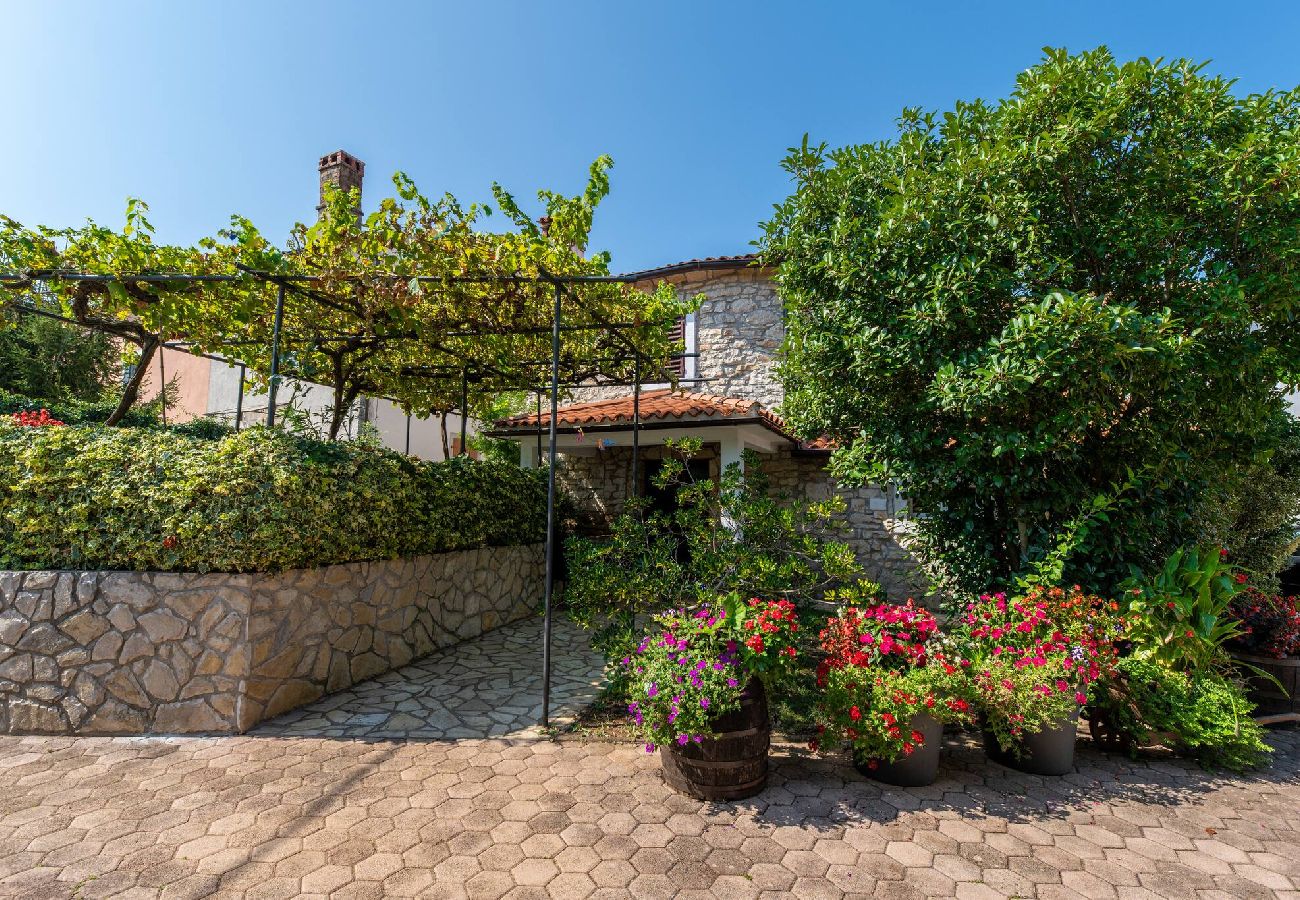 House in Nedešcina - Two Stone House Iva with pool