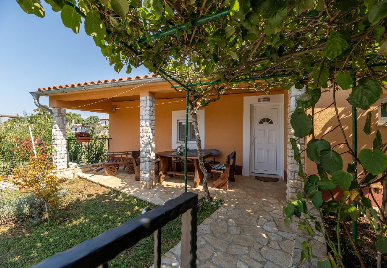 House in Nedešcina - Two Stone House Iva with pool