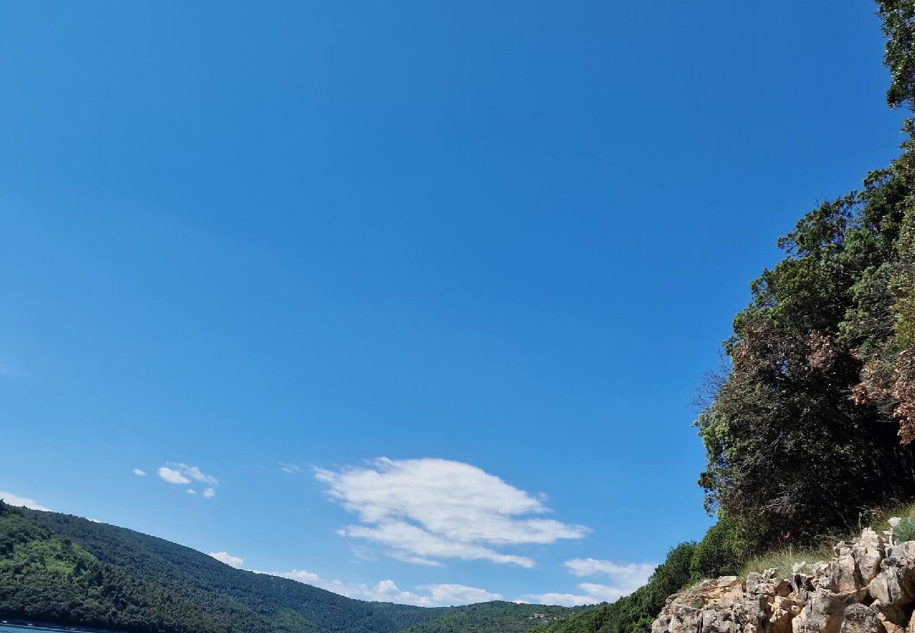 Apartment in Duga Luka - 207 Istra Sea Side 2Bedrooms  Apartment & Sea View