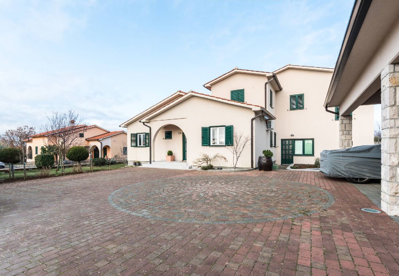 House in Labin - Holiday House Olive Grove with pool and garden