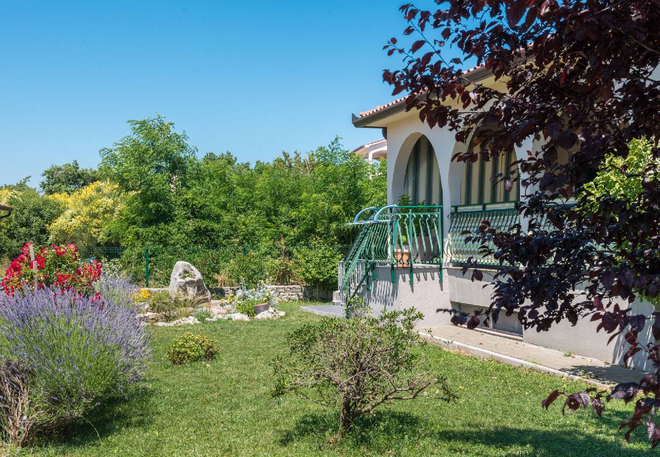 House in Labin - Holiday House Olive Grove with pool and garden