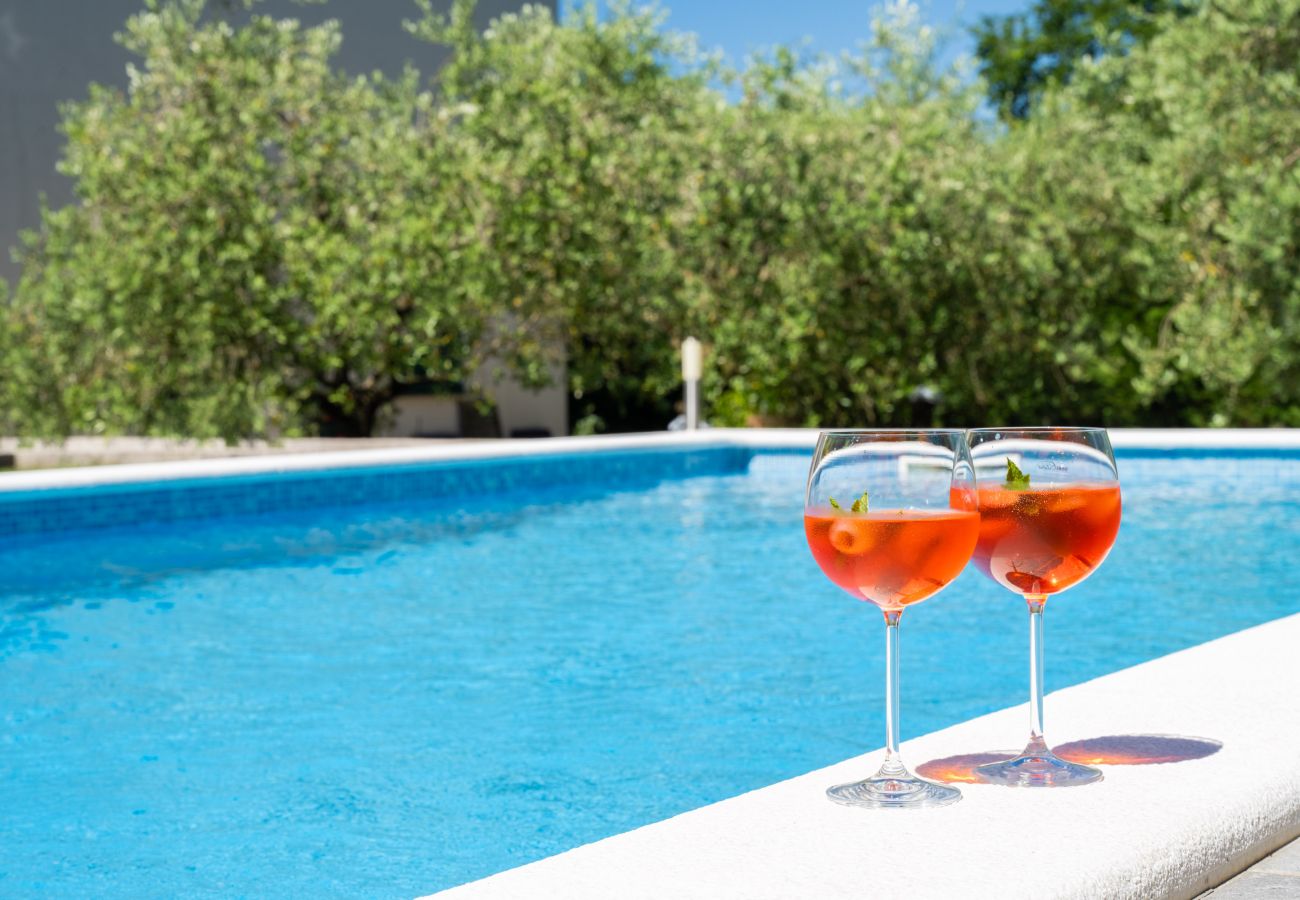 House in Labin - Holiday House Olive Grove with pool and garden