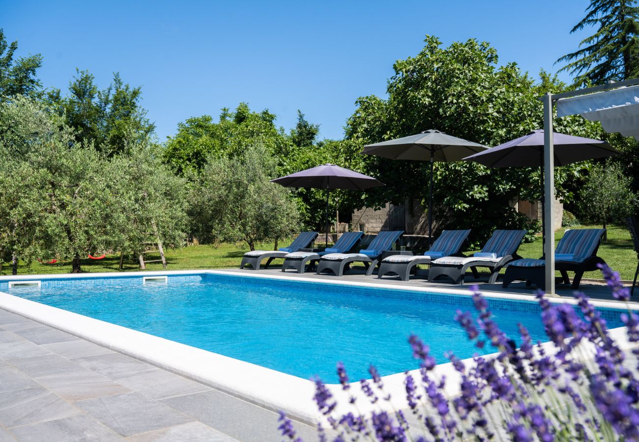 House in Labin - Holiday House Olive Grove with pool and garden